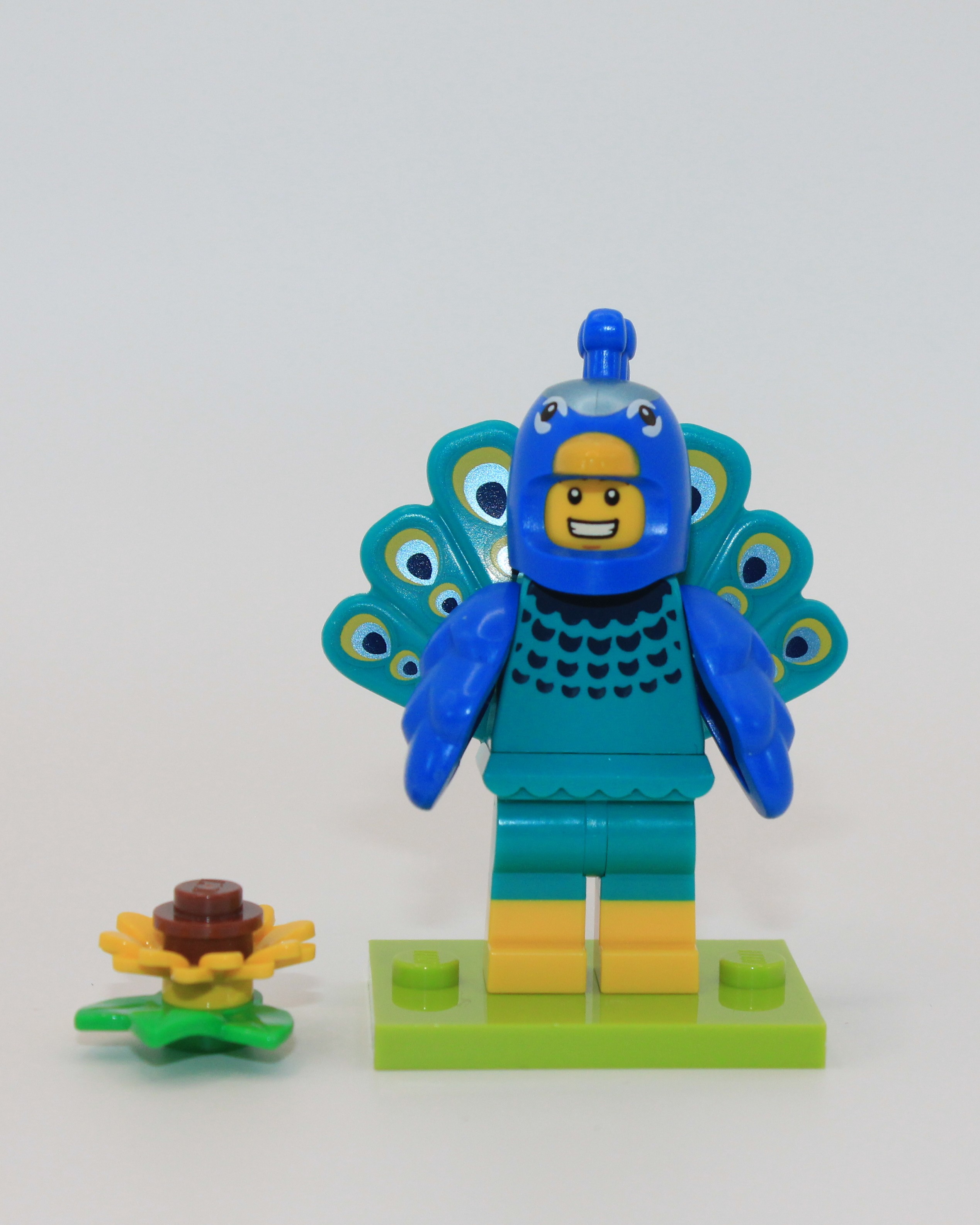 Peacock Suit, front