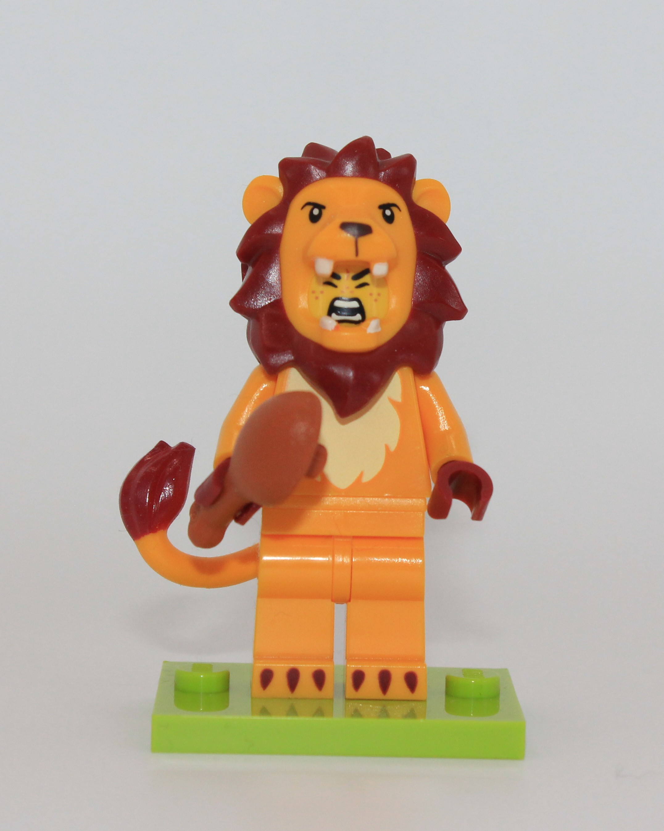 Lion Suit, front