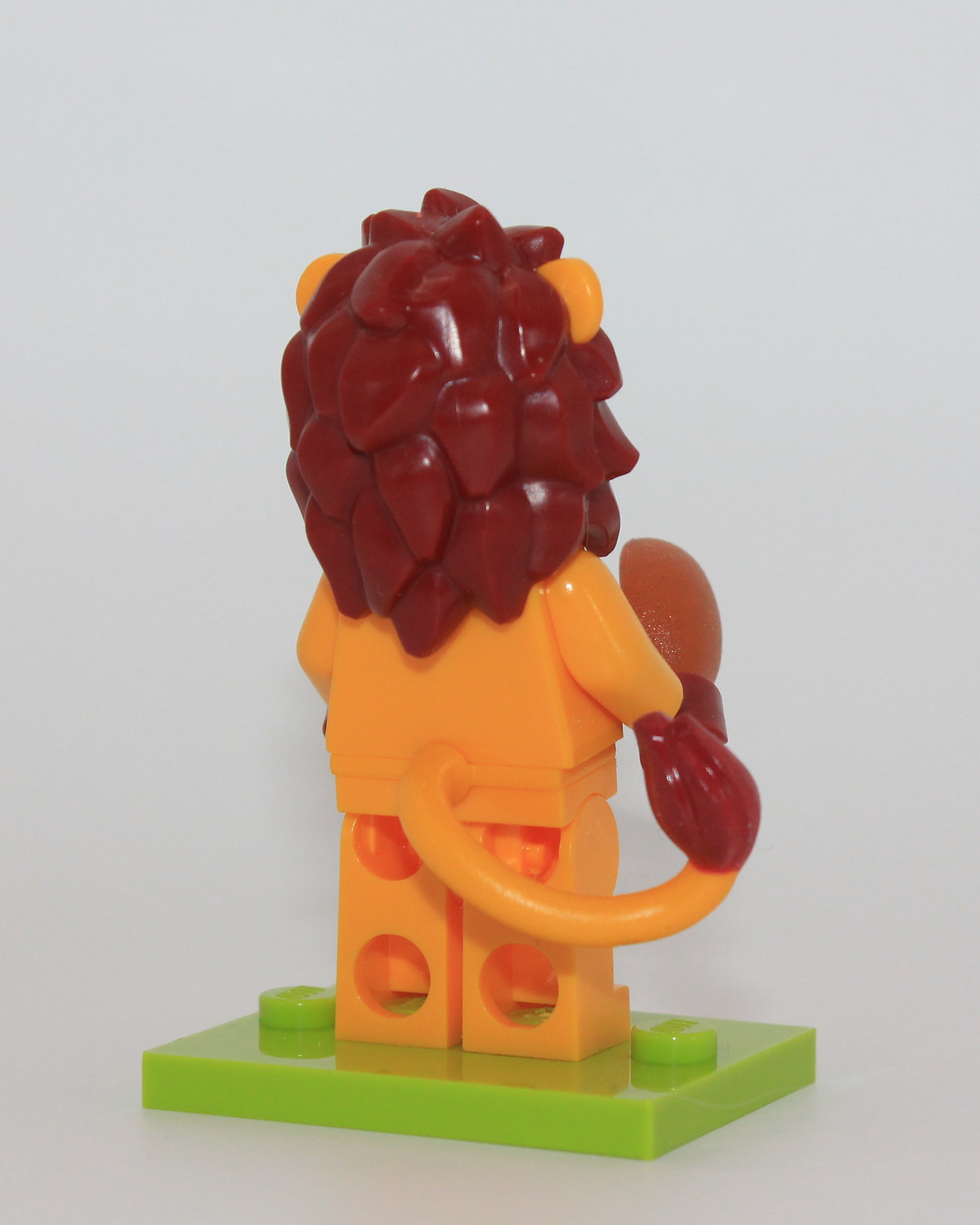 Lion Suit, back
