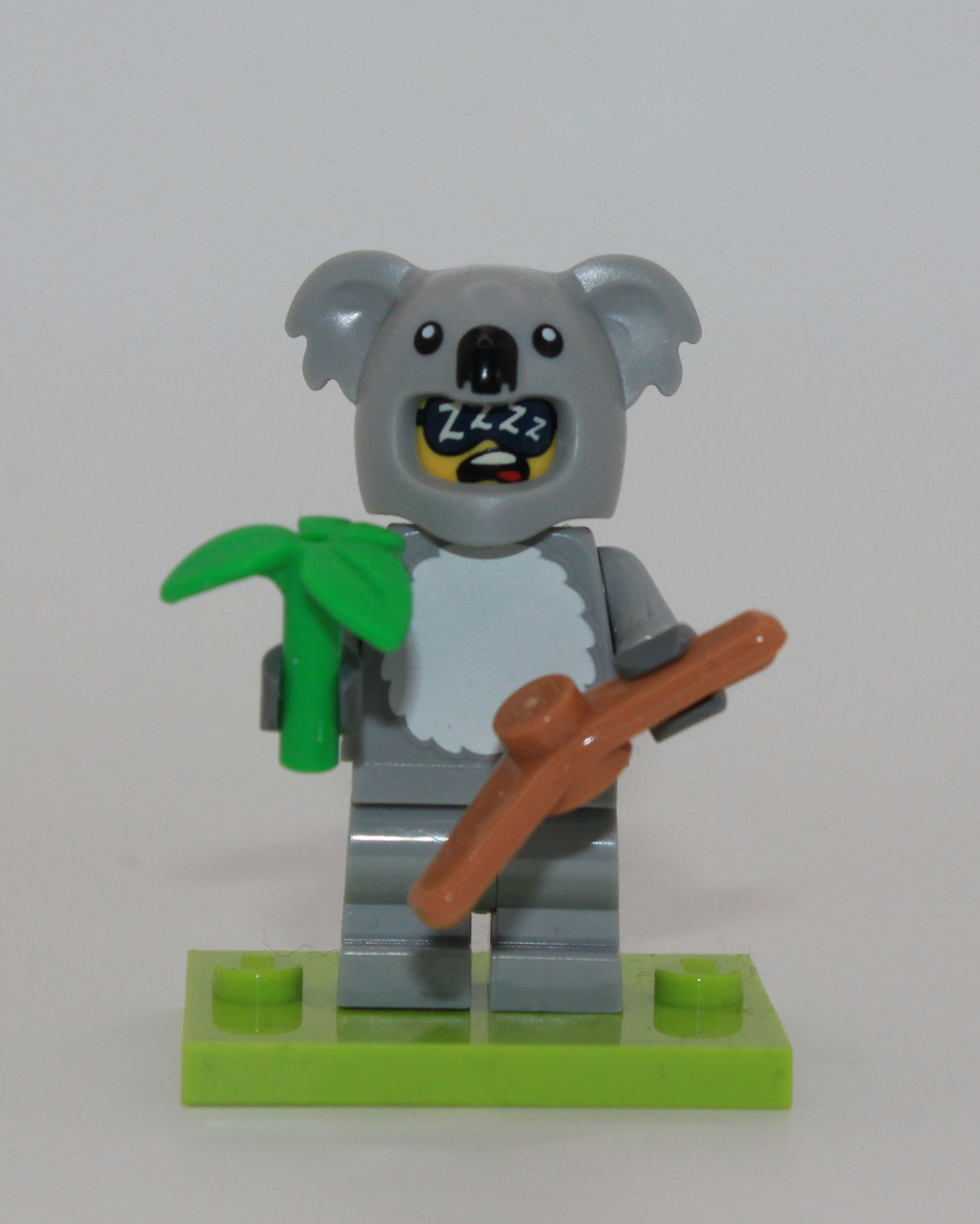 Koala Suit, front